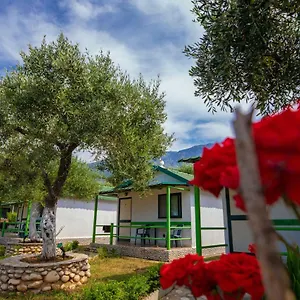 chalet-ambel.albaniahotels.org/